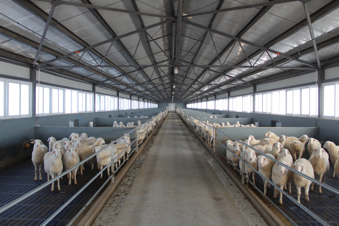 當(dāng)好產(chǎn)業(yè)扶貧主力軍，打贏脫貧攻堅(jiān)戰(zhàn)